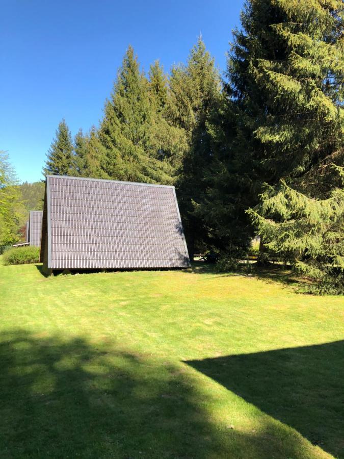 Ferienhaeuser Am Waldschloesschen Lautenthal Exteriör bild
