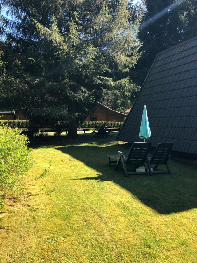 Ferienhaeuser Am Waldschloesschen Lautenthal Exteriör bild