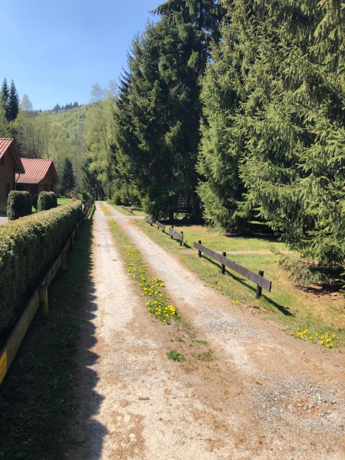 Ferienhaeuser Am Waldschloesschen Lautenthal Exteriör bild