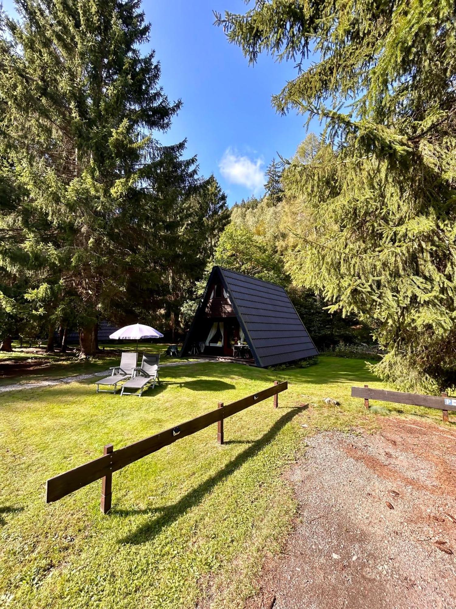 Ferienhaeuser Am Waldschloesschen Lautenthal Exteriör bild