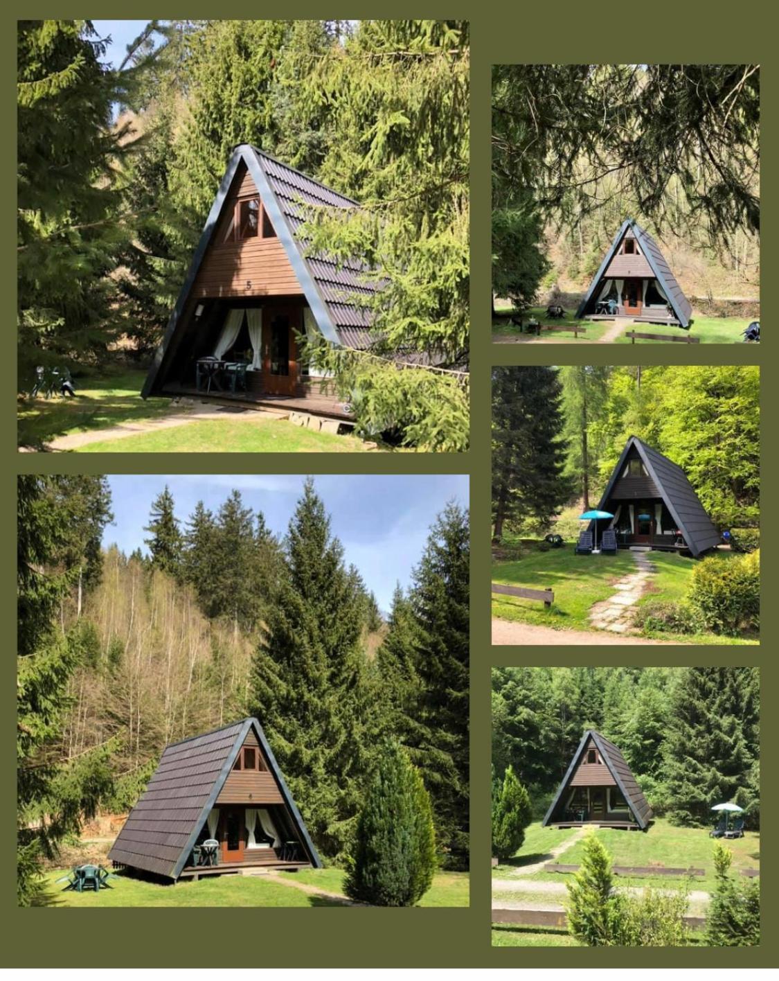 Ferienhaeuser Am Waldschloesschen Lautenthal Exteriör bild