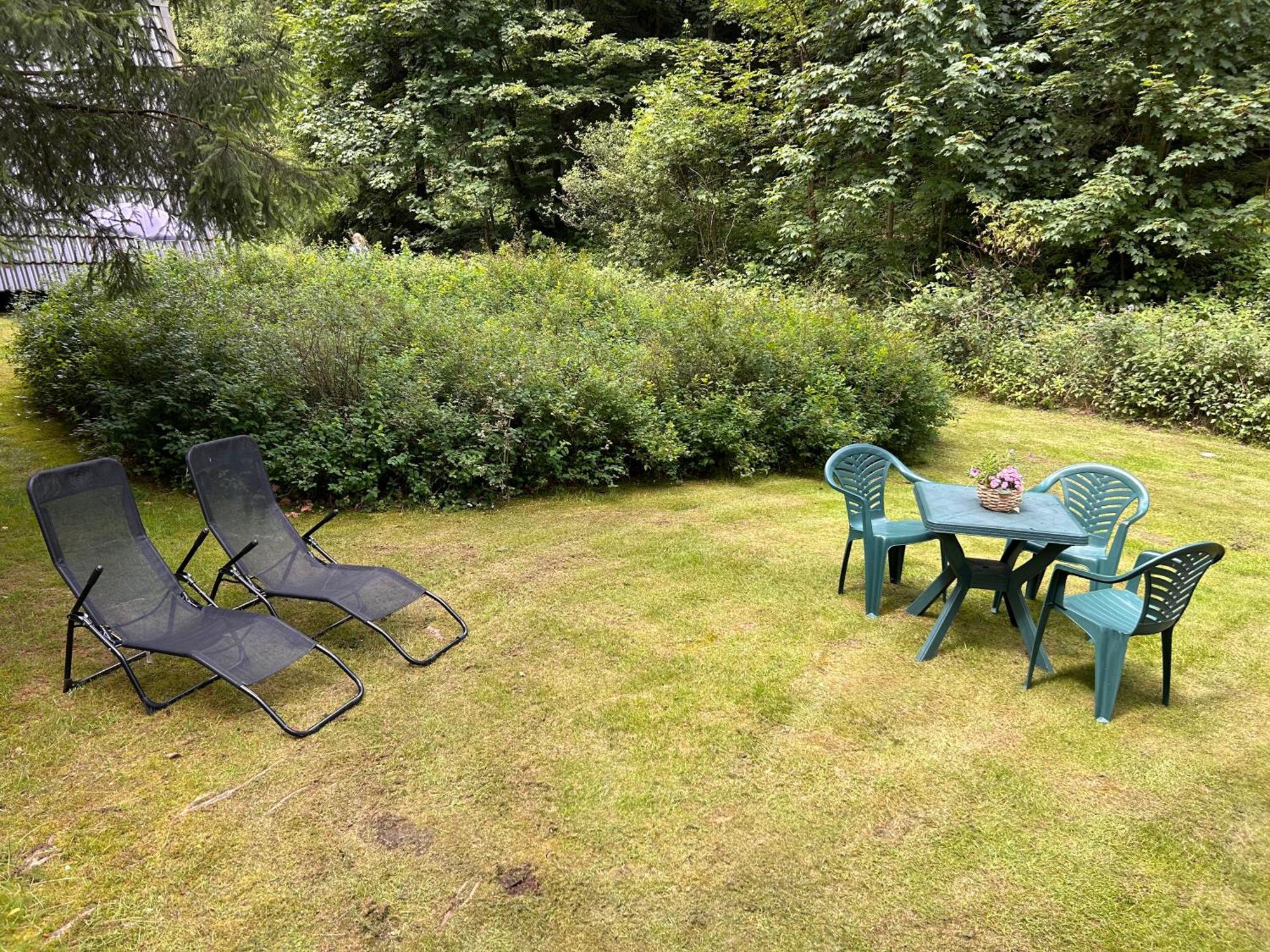 Ferienhaeuser Am Waldschloesschen Lautenthal Exteriör bild