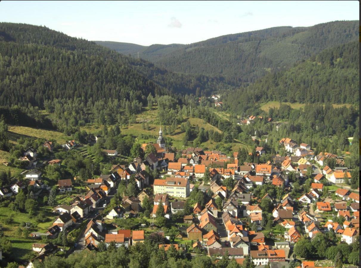 Ferienhaeuser Am Waldschloesschen Lautenthal Exteriör bild