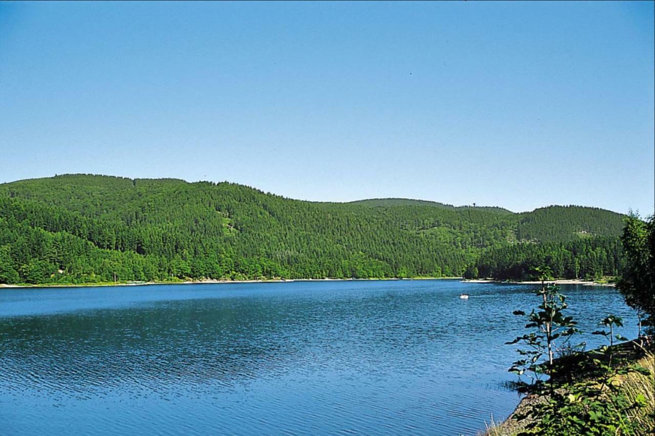 Ferienhaeuser Am Waldschloesschen Lautenthal Exteriör bild