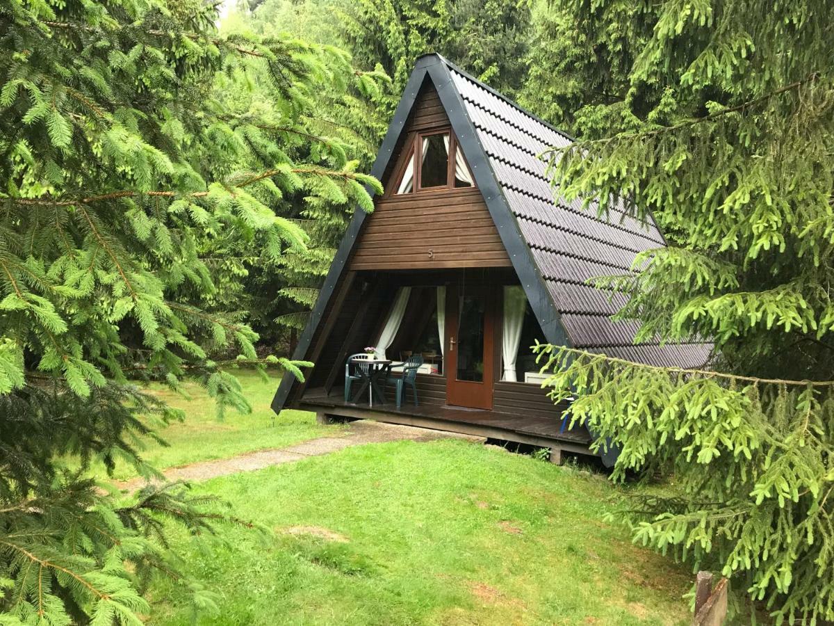 Ferienhaeuser Am Waldschloesschen Lautenthal Exteriör bild